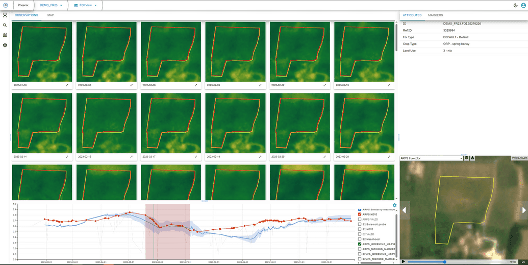 Spring barley without bare soil detection, indicating undersown second crop