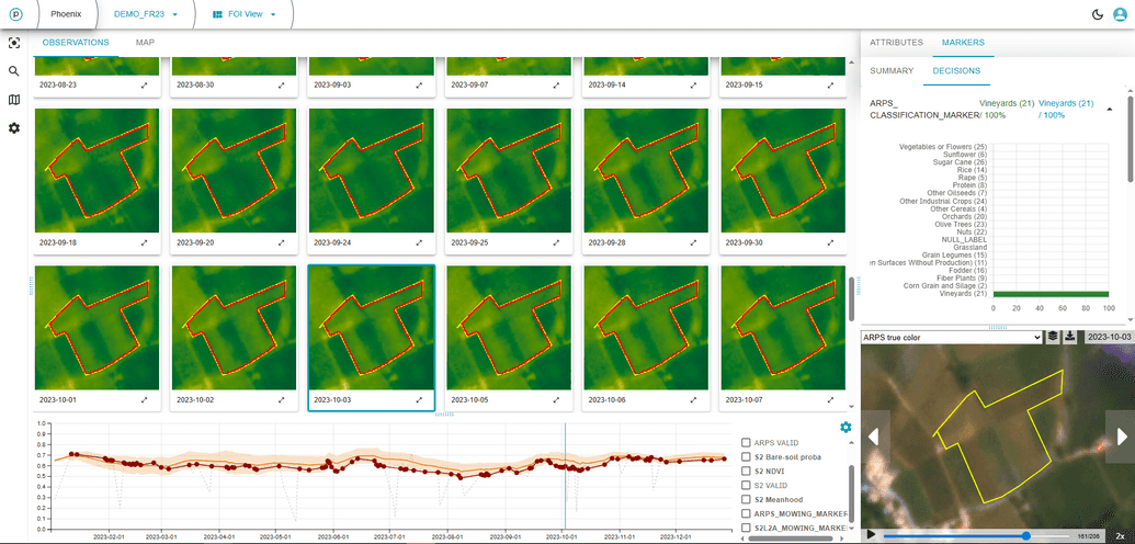 Crop-group marker showing 100% confidence in vineyard classification