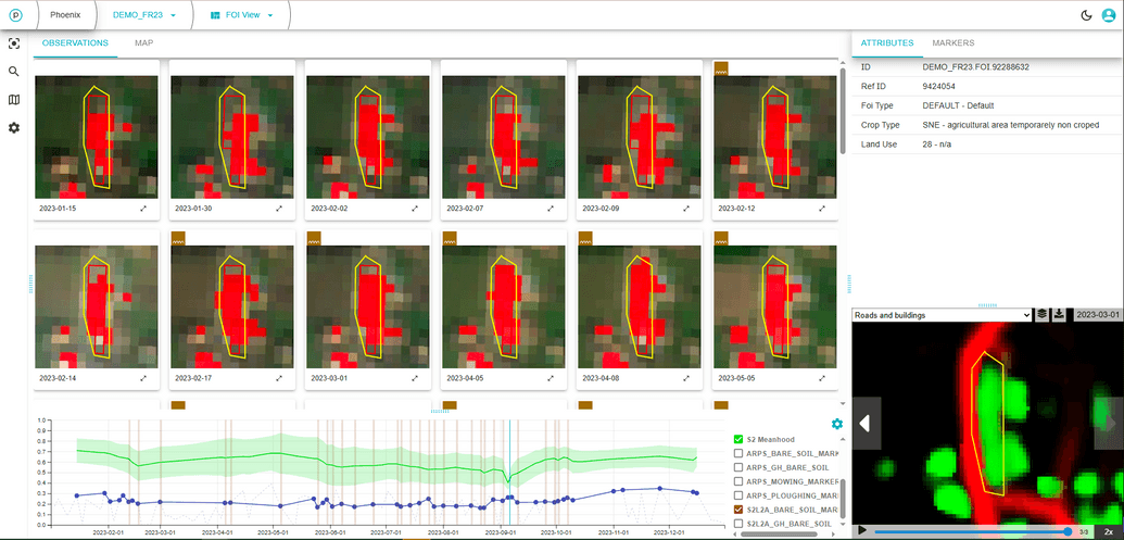 FOI showing artificial surface